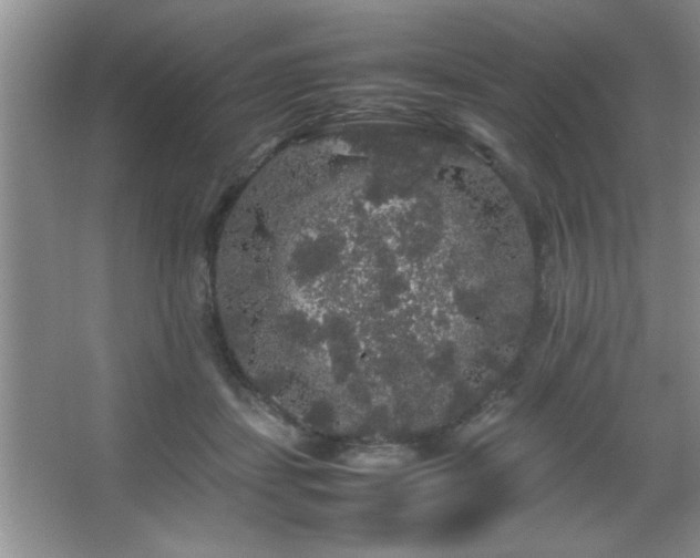 X0000067870459200604131241