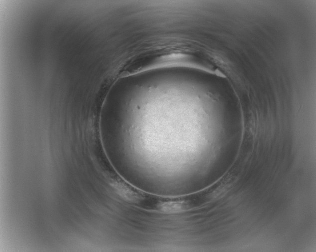 X0000067870461200604131241