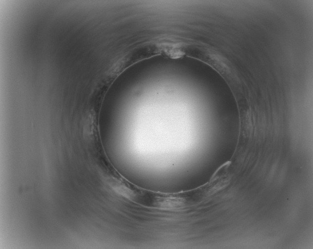 X0000067870463200604131241