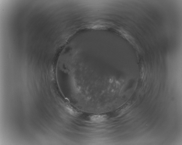 X0000067870465200604131241