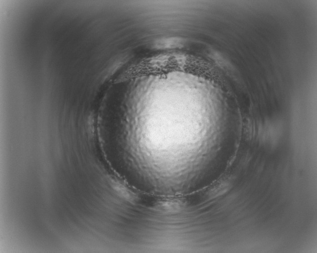 X0000067870466200604131241