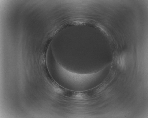 X0000067870467200604131241