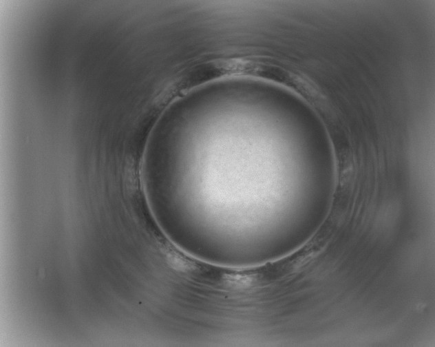 X0000067870469200604131241