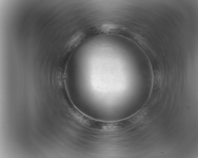 X0000067870470200604131241