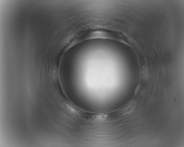 X0000067870474200604131241