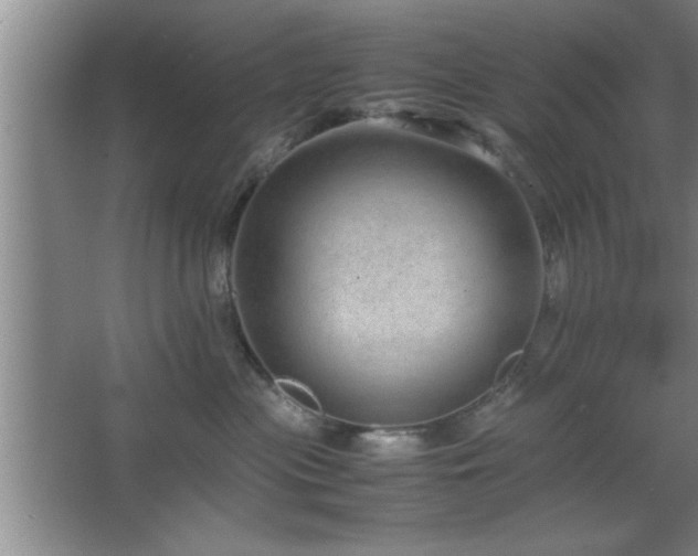 X0000067870477200604131241