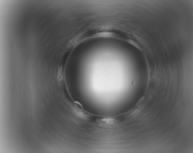 X0000067870478200604131241