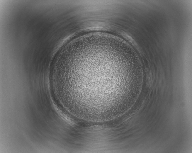 X0000067870482200604131240