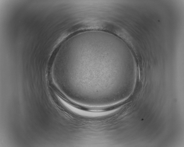 X0000067870483200604131240