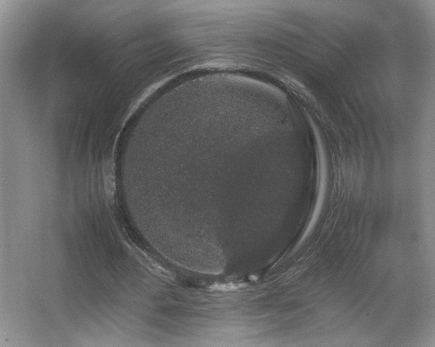 X0000067870484200604131240