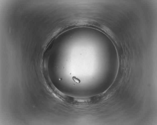 X0000067870485200604131240