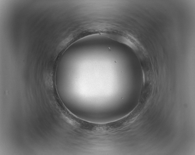 X0000067870489200604131240