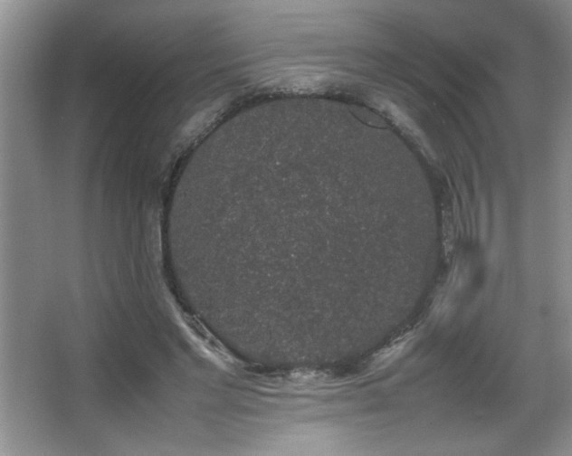 X0000067870493200604131240