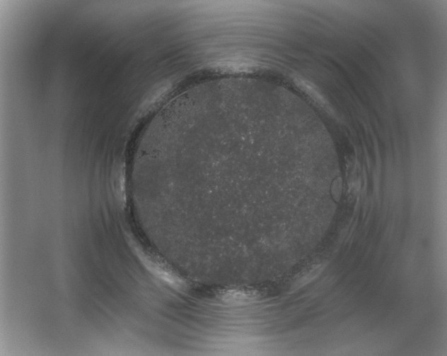 X0000067870494200604131240