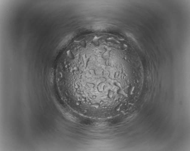 X0000067870495200604131240