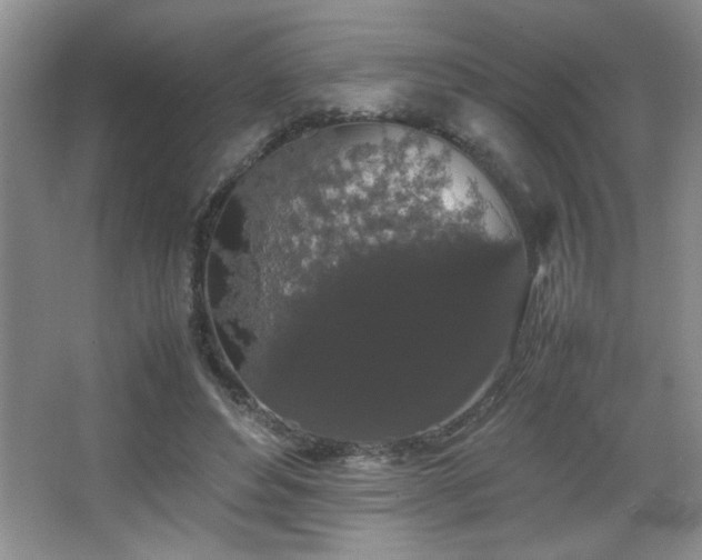 X0000067870496200604131240