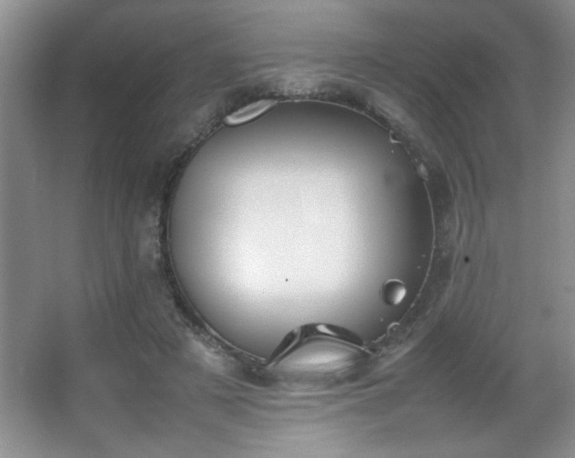 X0000067870497200604131240