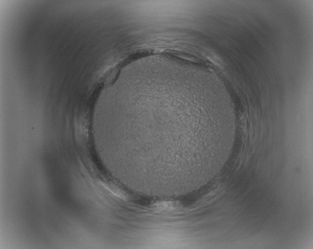 X0000067870499200604131240