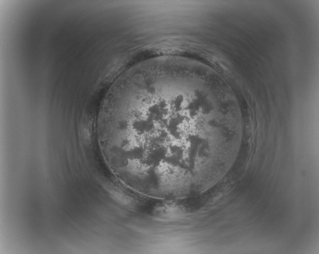 X0000067870503200604131240