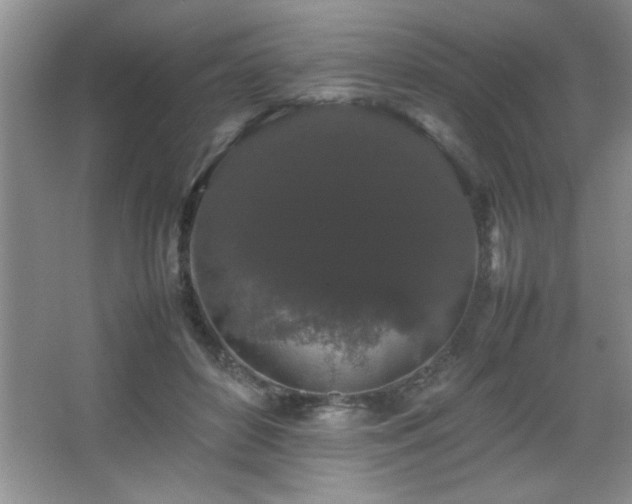 X0000067870504200604131240