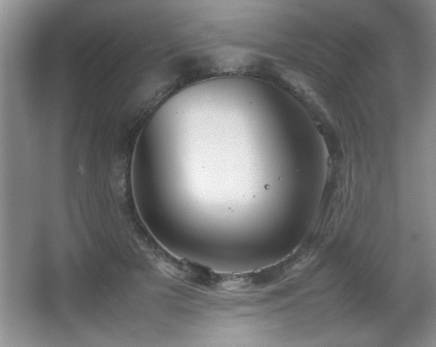 X0000067870505200604131240