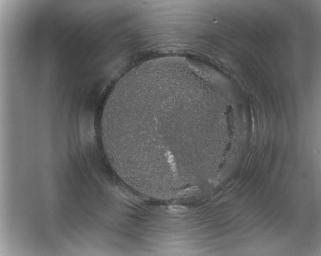 X0000067870508200604131240