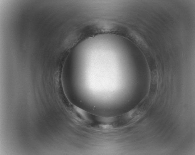 X0000067870509200604131240