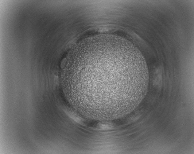 X0000067870510200604131240