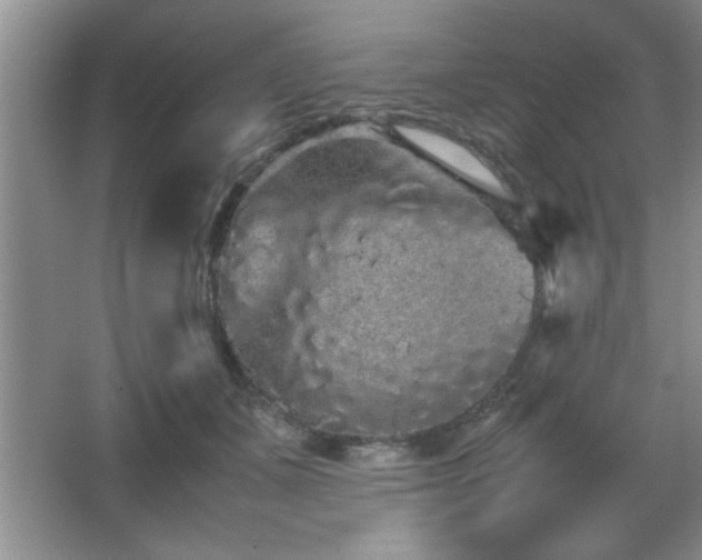 X0000067870511200604131240