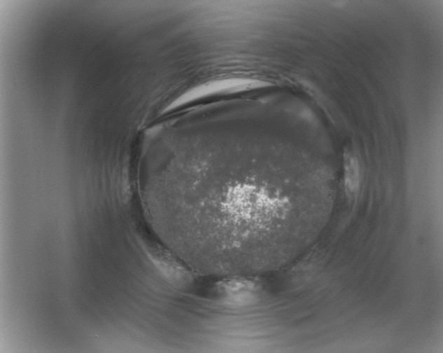 X0000067870512200604131240