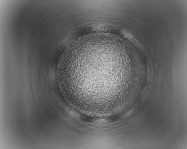 X0000067870513200604131240