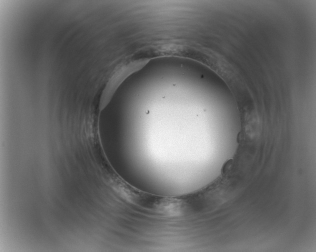 X0000067870514200604131240