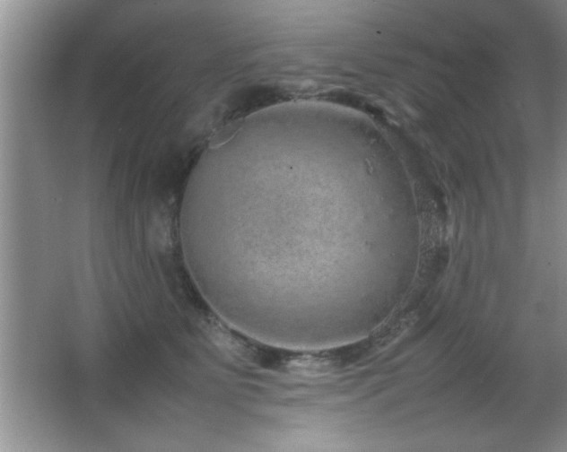 X0000067870515200604131240