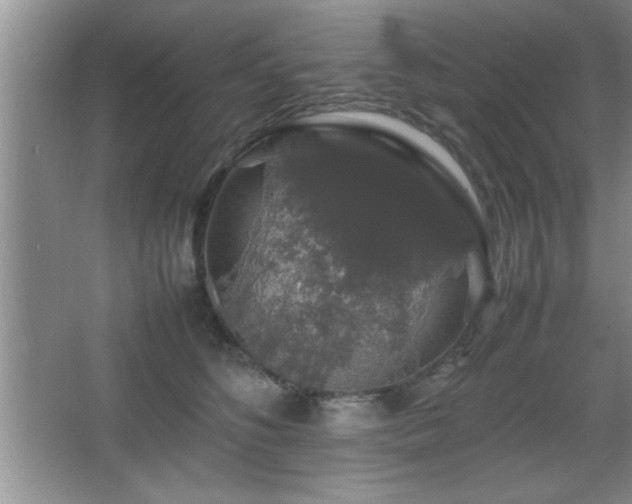 X0000067870516200604131240