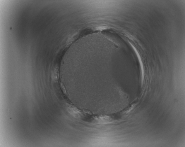 X0000067870517200604131240