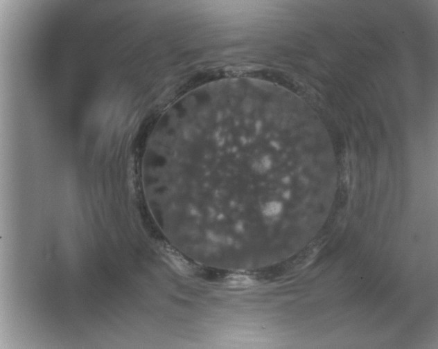 X0000067870519200604131239