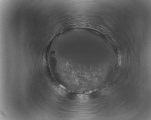 X0000067870520200604131239