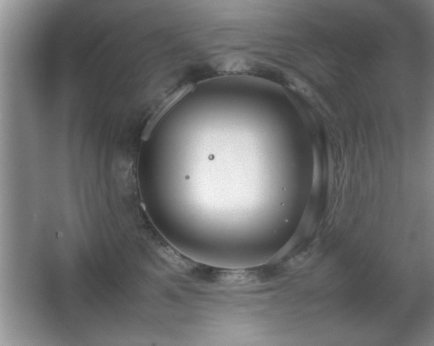 X0000067870521200604131239