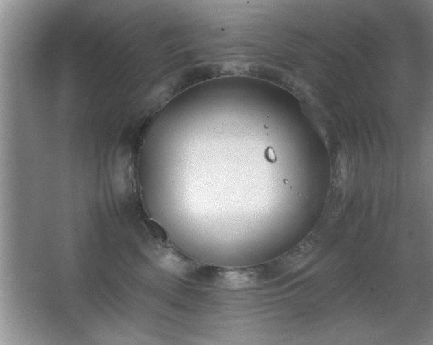 X0000067870522200604131239