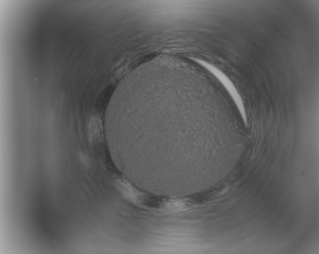 X0000067870523200604131239