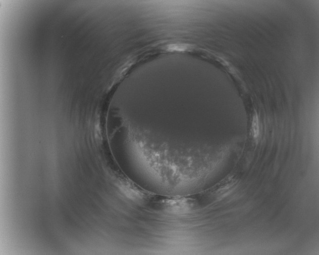 X0000067870524200604131239