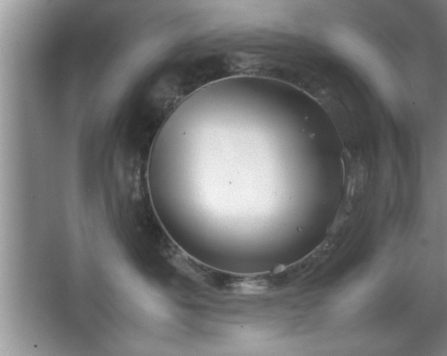 X0000067870525200604131239