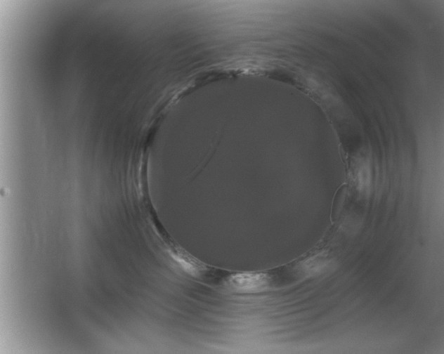 X0000067870526200604131239