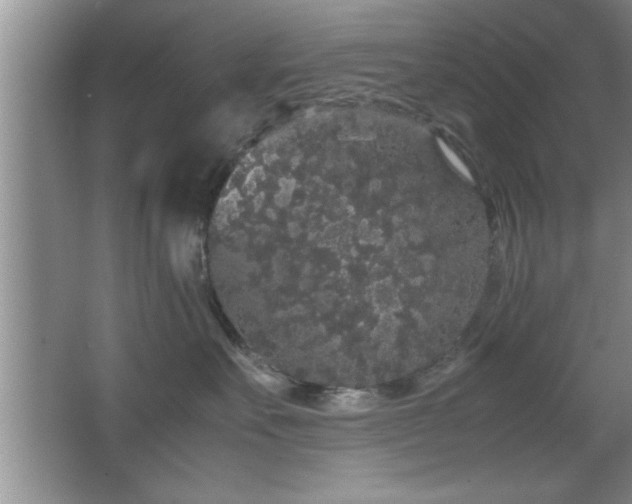 X0000067870527200604131239