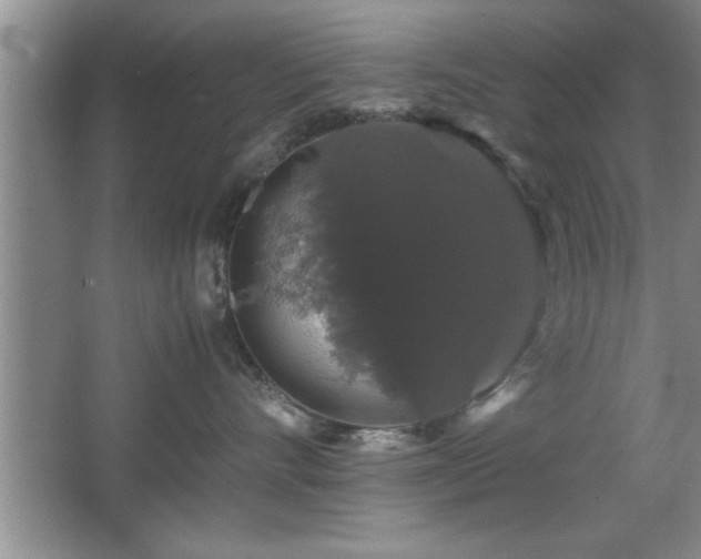 X0000067870528200604131239