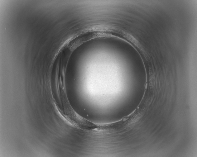 X0000067870530200604131239