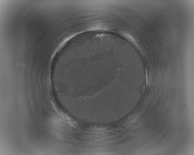 X0000067870531200604131239