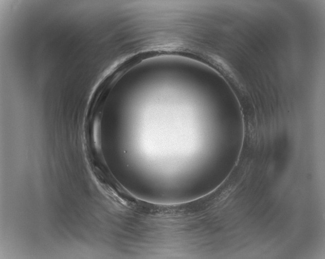 X0000067870532200604131239