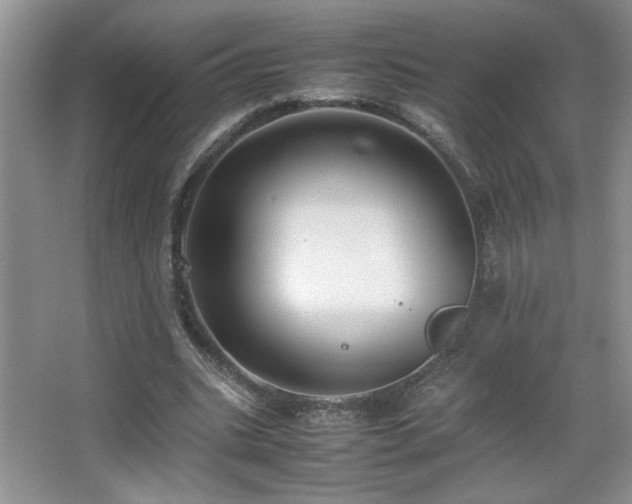 X0000067870535200604131239