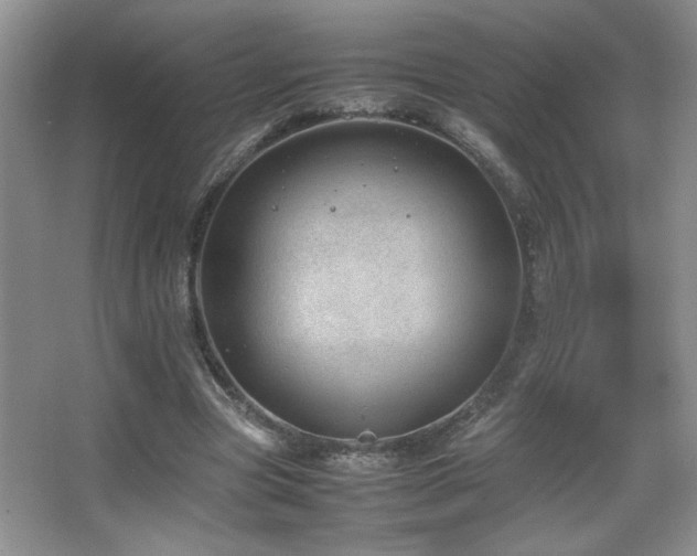 X0000067870537200604131239